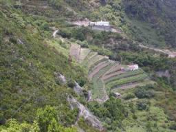 Resize of P21010166.JPG